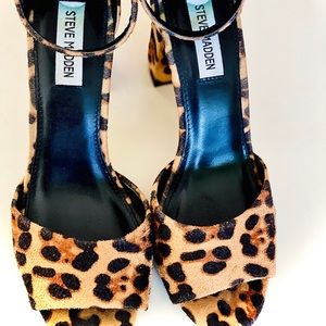 Steve Madden Shoes - Cheetah Print Block Heeled Sandals by Steve Madden Steve Madden Shoes - Cheetah Print Block Heeled Sandals by Steve Madden